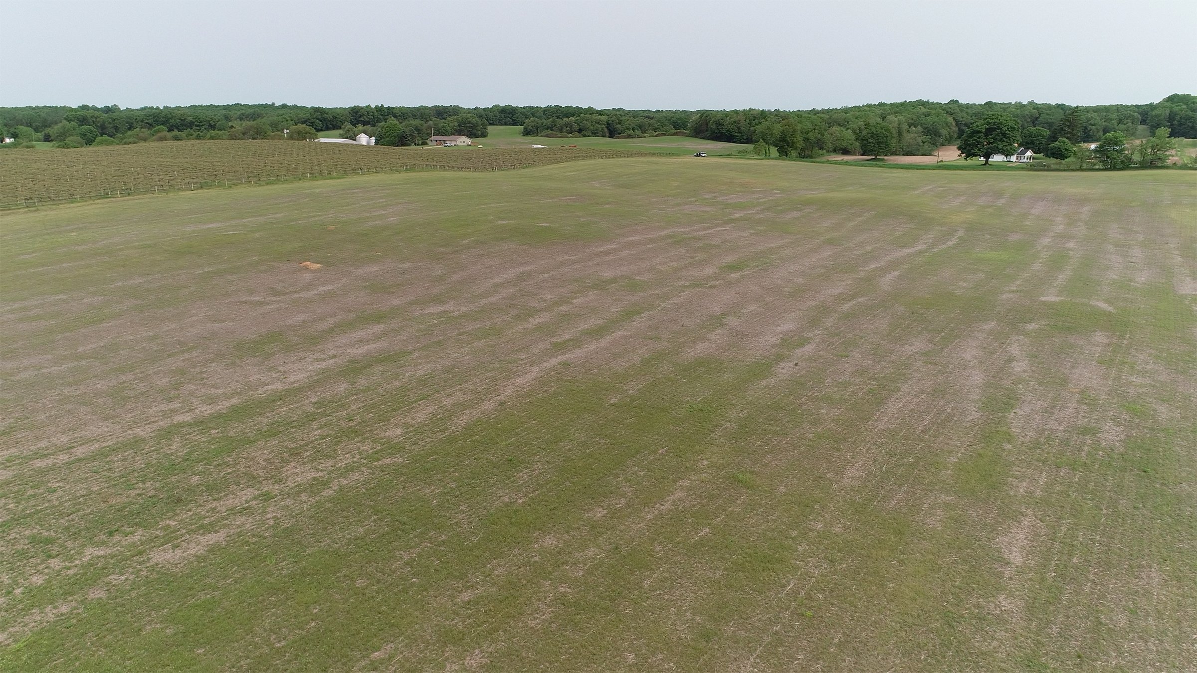 Van Buren County, Michigan farmland - LAND AUCTION - 194+/- ACRES OFFERED IN 5 TRACTS IN VAN BUREN COUNTY, MICHIGAN